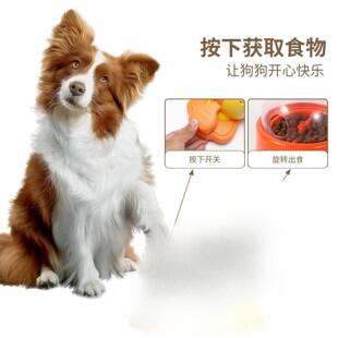 Machine Dog Duck Yellow TEMU Feeding Puzzle Pedal and Cat