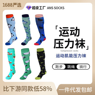 Strictly select outdoor sports compression socks, men's and