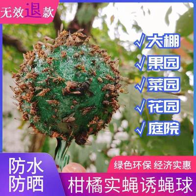 Mosquitotrapinsecttrapfly