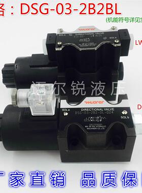 DSG-03-2B2BL 电磁阀