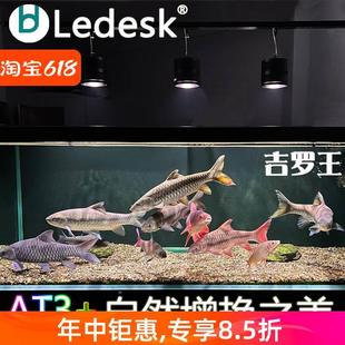 乐迪吉罗专用灯100w全光谱增色显色爆藻灯 原生溪流鱼缸灯 吉罗王