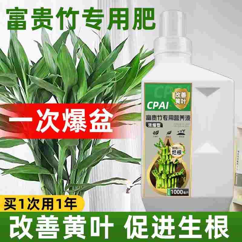 富贵竹营养液专用治黄叶生根水培植物竹子龙竹转运竹观音竹通用型