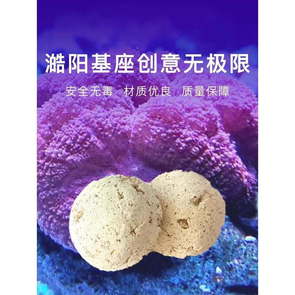 澔阳 基座星花珊瑚基座纽扣珊瑚基座草皮珊瑚半球基座通用SPS基座
