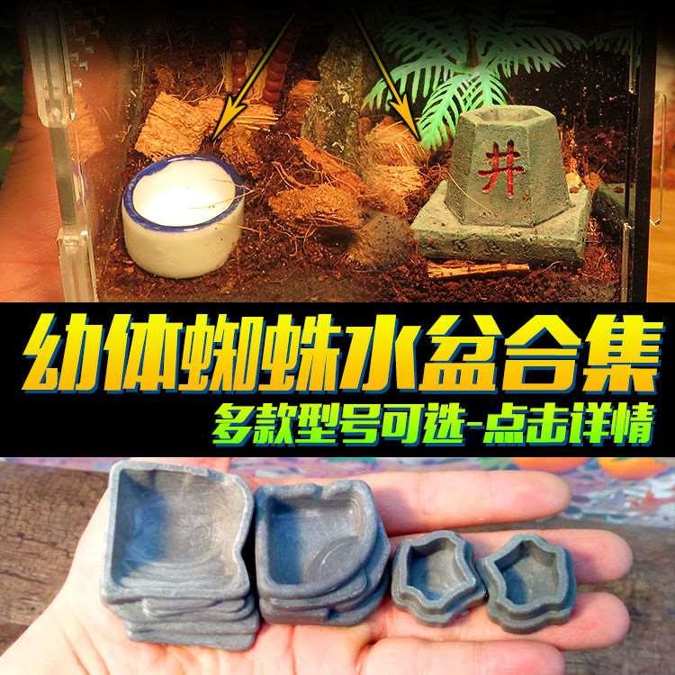 蜘蛛水盆爬宠 幼体蜘蛛蝎子水盆 瓷盆 竹子水盆 蟋蟀水盂 爬虫水