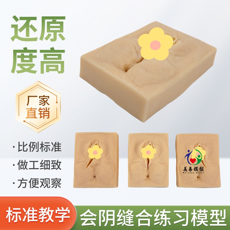 美善模型会阴缝合模块教学