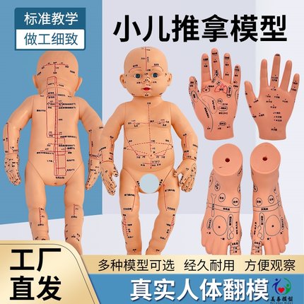 小儿推拿模型培训娃娃带穴位仿真按摩婴儿针灸中医人体经络教学用