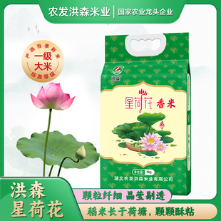 洪森（HONGSEN）星荷花香米5kg 当季新米 南方籼米 长粒大米