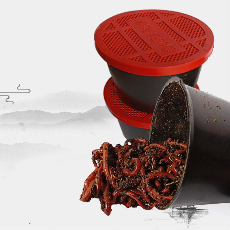 皇藏红蚯蚓太平二号盒装中大号渔具鲜活饵料鱼饵垂钓野钓鲤鱼活体,户外/登山/野营/旅行用品,活饵/谷麦饵等饵料,淘宝优惠券,粉丝福利购,淘宝优惠卷