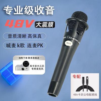 e300电容麦麦克风48v手持话筒k歌直播录音设备艾肯迷笛声佰乐m2