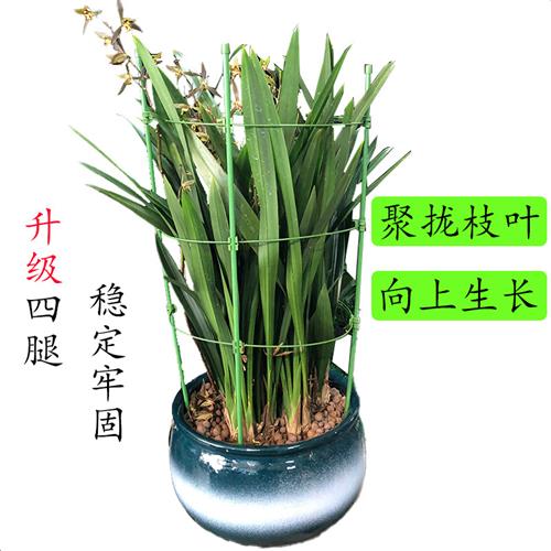花架子阳台多层蟹爪兰支架月季花架爬藤架支撑圈金钱树支架固定架