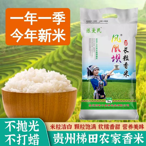 贵州凤凰坝长粒香米2025新米优陈爱民大米梯田米