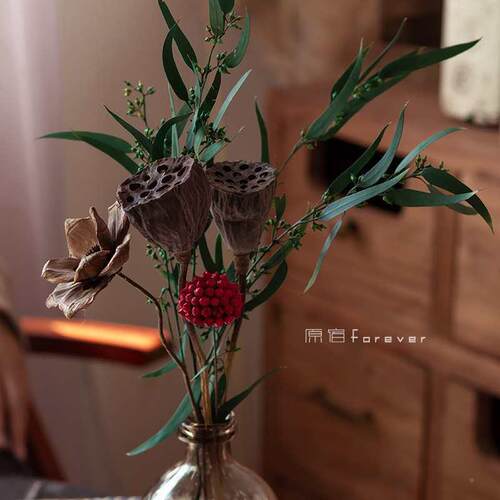 天然真杆小莲蓬干花复F87STJ8H古禅意花插树厅枝家居客民宿软干装