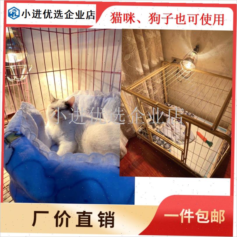 养殖取暖灯鸡鸭家畜宠物育雏保暖灯A带304开关插头100W275W保温/