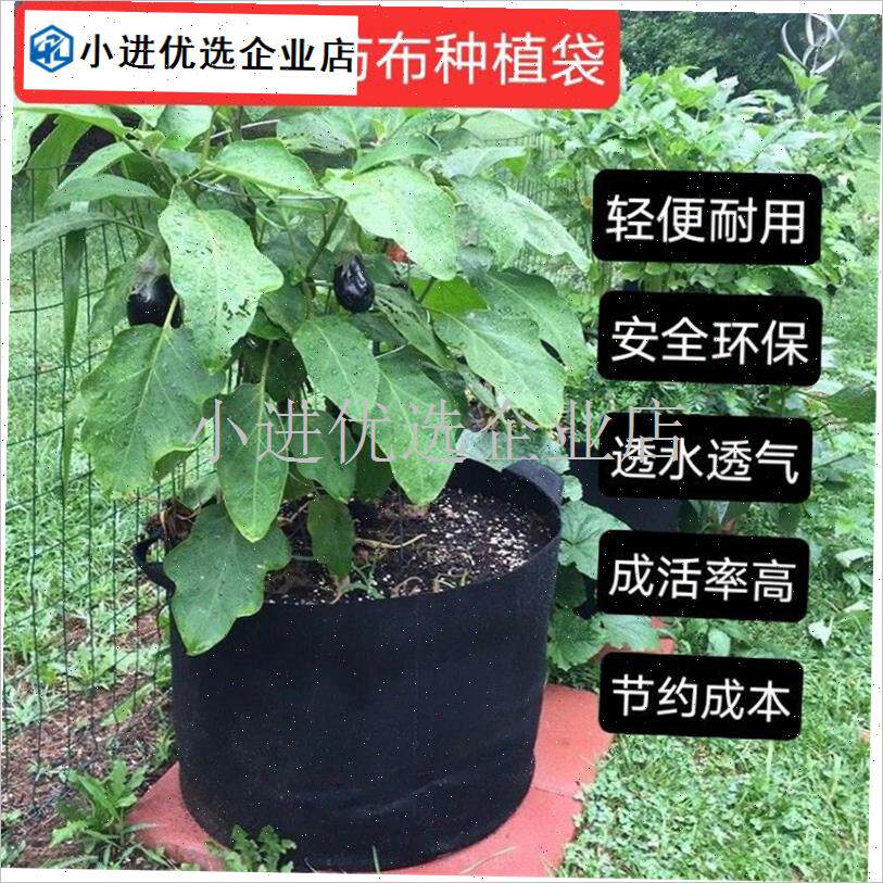 植树袋黑色美h植袋特大种植袋 加厚无纺布树苗袋白色移植袋 育苗\