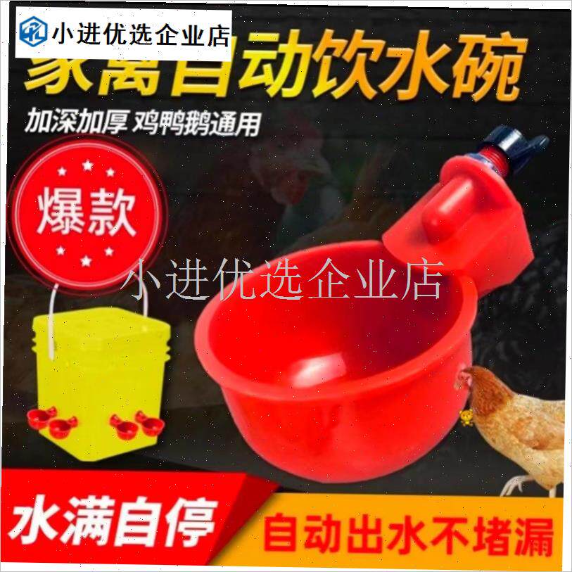 养鸡用自动d饮水器鸡鸭鹅饮水碗喝水碗鹌鹑家禽鸟小鸡喂 食神器/