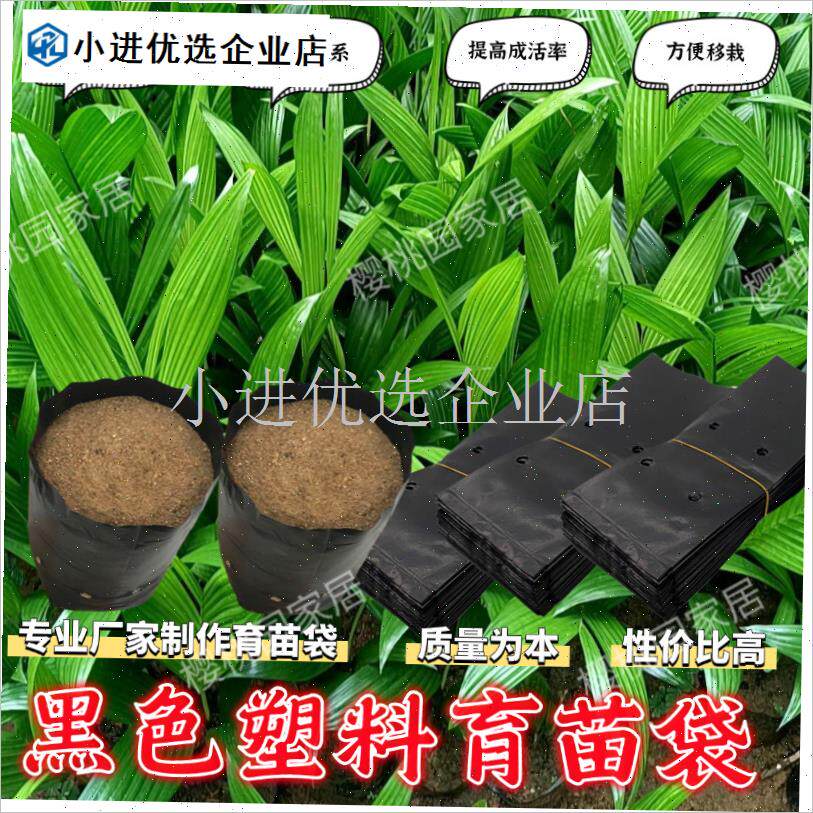 槟榔专用育苗袋桉树m营养袋瓜果树苗种植袋橙子柑橘一次性移栽袋\