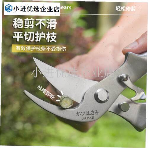 外贸全钢树枝f剪刀修剪枝专用枝剪园艺修花花剪园林剪刀修枝剪果\