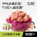 不二宝贝水果益生菌溶溶豆搭无添加婴儿幼儿6个月以上宝宝小零食