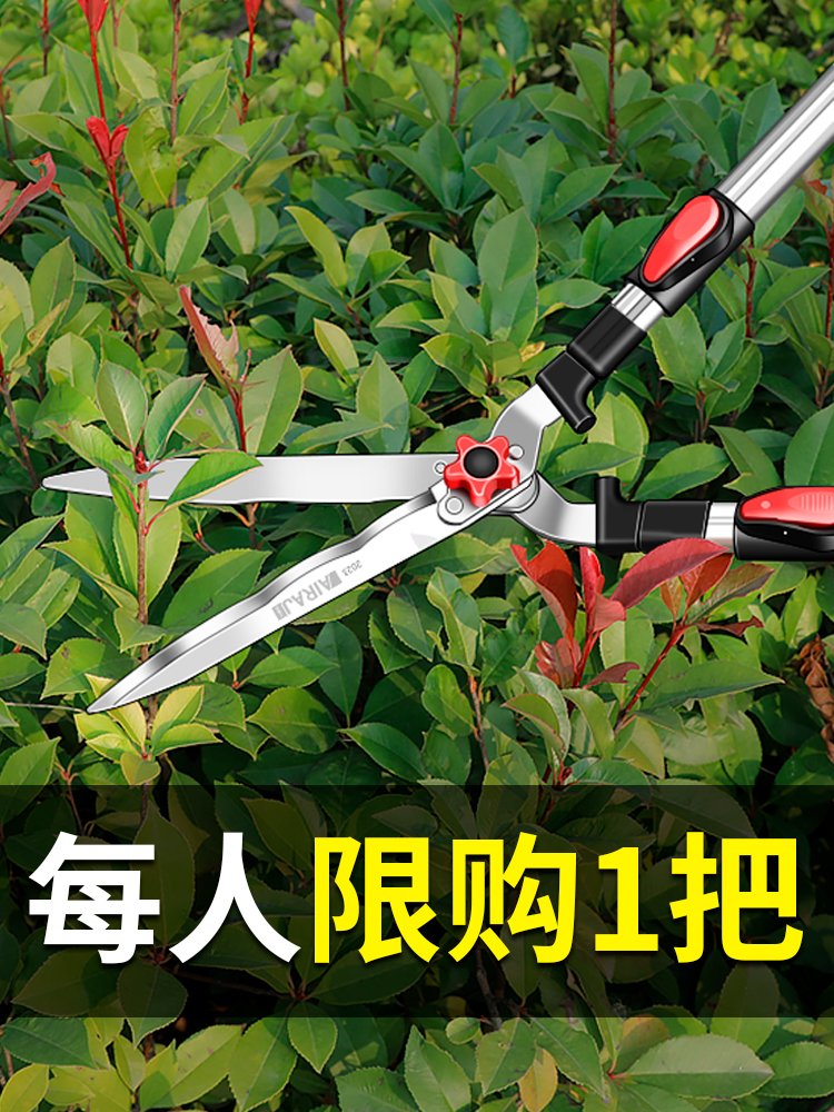德国进口园艺大剪刀果树枝花园草坪绿篱伸缩修高枝剪日本园林工具