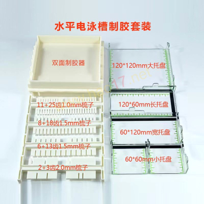 电泳槽制胶器托盘梳子六一/天能
