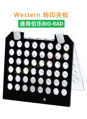 伯乐转印夹板 wb电转夹 适配伯乐bio-rad 天能转印三明治转移夹