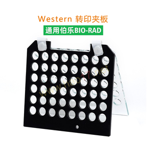 rad 适配伯乐bio 天能转印三明治转移夹 wb电转夹 伯乐转印夹板