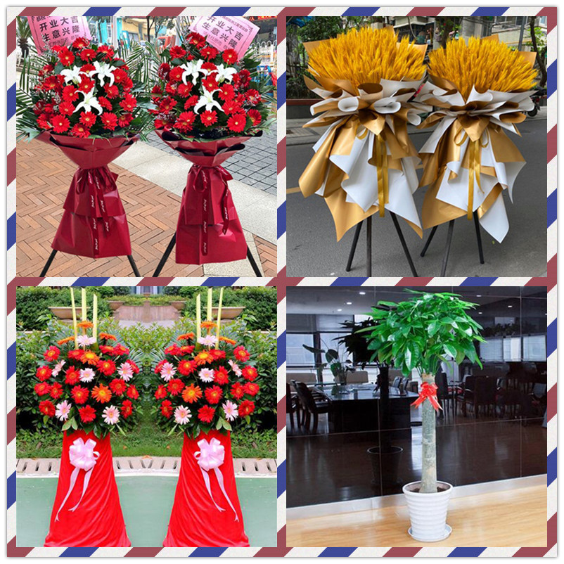 开张庆典乔迁绿植发财树大麦开业花篮速递信阳市淮滨县息县同城送