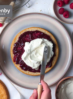 denby丹碧英国进口陶瓷盘子托盘菜盘家用西餐餐盘平盘 墨迹·珊瑚