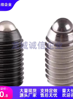 球头柱塞NBSS3/BMS4/BSM5/BSZF6/BSX8/NBSM10/NBSZ12/NBSX16 2