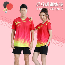 单位乒乓球运动服套装男女高端乒乓球训练服定制排球网球综合球服