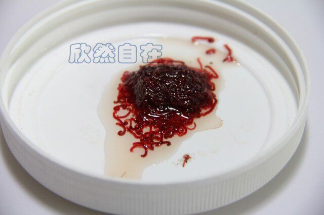 九河冰冻血虫冷冻红虫赤虫红虫热带鱼饲料冷水鱼观赏鱼小型鱼鱼食