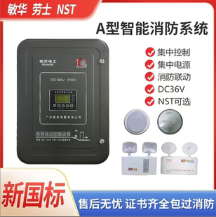 敏华电工消防集中电源照明集中电源箱消防应急配电箱智能36V分配