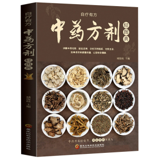 中医书籍大全常见中药材功效解读中药知识入门对症调理养生药膳中医养生食疗书 现货正版 中药方剂轻图典 中草药图鉴大全百科书