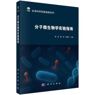 杨亮 董涛 梁海华 本书是一部系统梳理与深入探讨现代微生物学实验方法 分子微生物学实验指南 主编 综合性指导书 现货正版