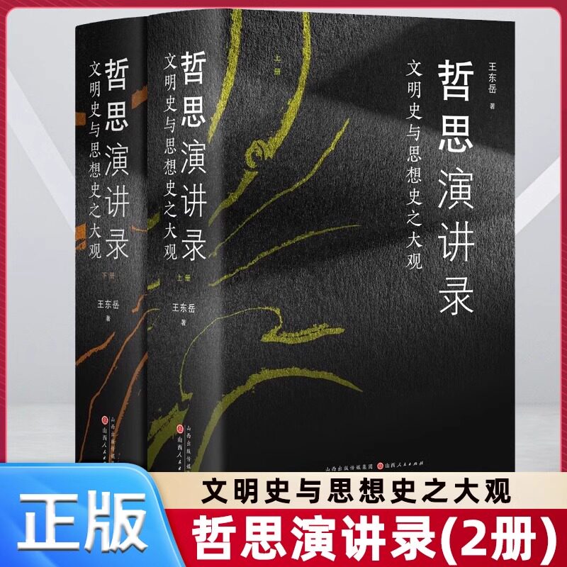 【官方正版】哲思演讲录 文明史与思想史之大观 王东岳系列讲座的文稿 内容涉及天文地理人文生物医学 社科 哲学入门书籍