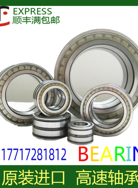 德国进口UBT轴承SL 18 NNCF 5048 5052 5056 5058 5060-A-C3-CV