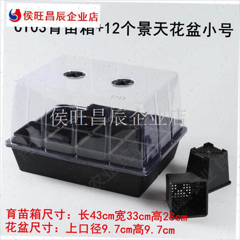 03 育苗盘 移动托架q 闷养多肉 玉露 花盆组合托盘 育苗盒三件