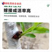 接膜外送打包膜保鲜膜pe缠绕膜小卷拉伸膜Q接枝芽接专用膜农用