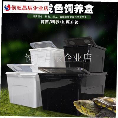 乌龟育苗发色f盒黑白色大号饲养缸剃刀蛋剃刀麝香隔离专用保温箱