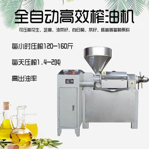 全自动不锈钢螺旋榨油机油菜籽花生核桃茶籽85高效出油家用