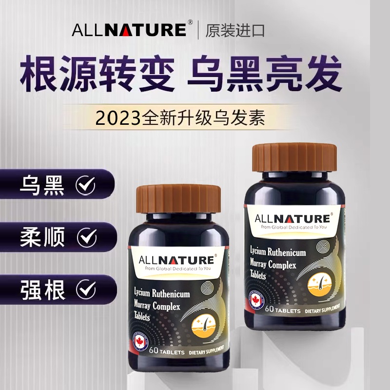 安美奇黑果枸杞黑桑葚刺梨进口