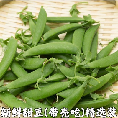 新鲜甜豆带壳甜豆青豆鲜豌豆荚青豌豆非荷兰豆甜豌豆农家蔬菜包邮