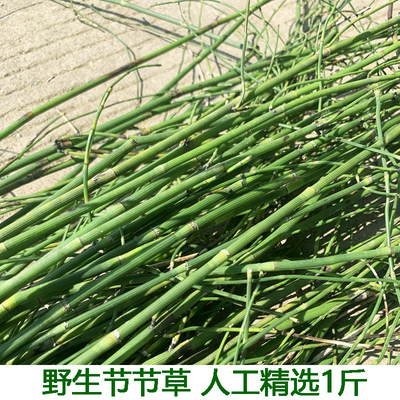 新鲜节节野生土木草锁笔杆