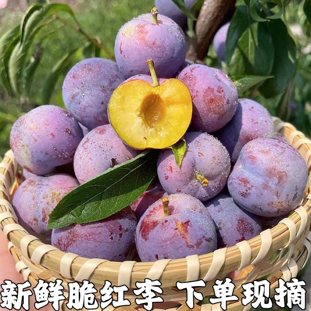 新鲜脆红李新鲜水果脱骨李子茵青红脆李甜孕妇蜂糖李精选装包邮
