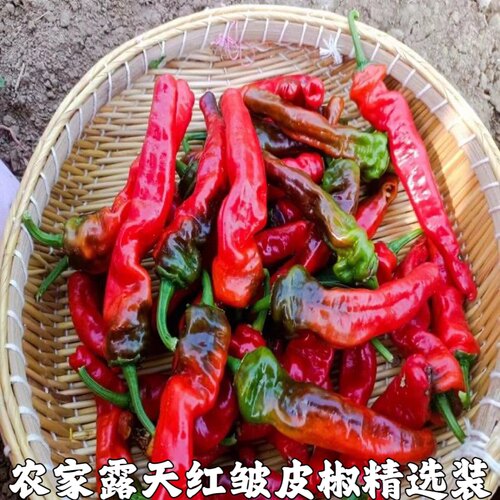 鲜红邹皮椒红椒超辣新鲜红辣椒红皱皮辣椒红尖椒小米椒椒薄皮剁椒