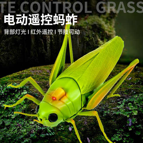 遥控电动蚂蚱仿真玩具