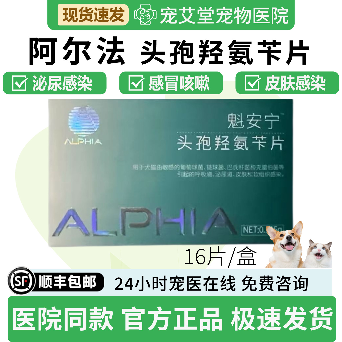 ALPHIA阿尔法魁安宁头孢羟氨苄片犬猫通用呼吸道泌尿感染16片/盒