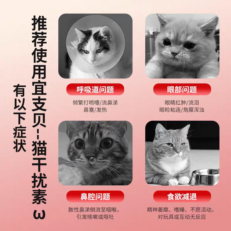宜支贝猫鼻支特效专用杯状疱疹病毒猫干扰素口炎感冒打喷嚏流鼻涕