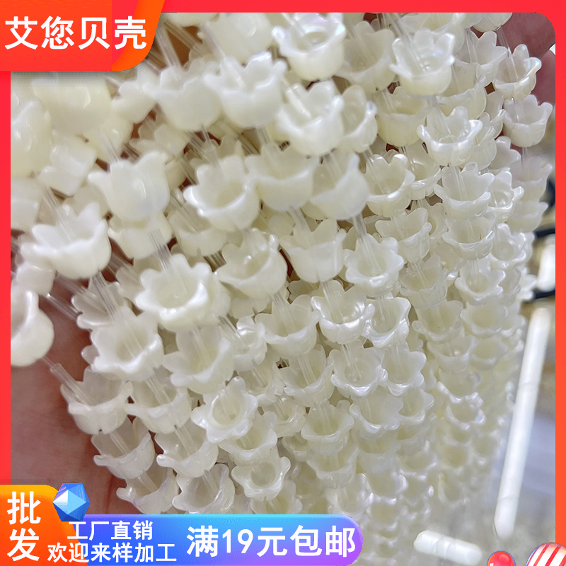 天然马蹄螺海贝壳材料雕刻8-10mm