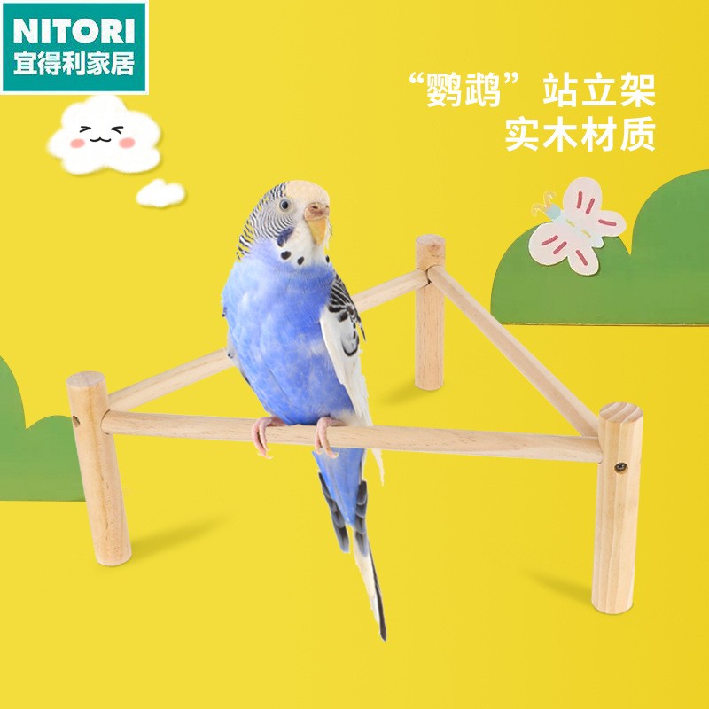 日本进口便宜得利鹦鹉架子八哥实木鸟用站杆鸟玩具 木质鸟架鸟笼